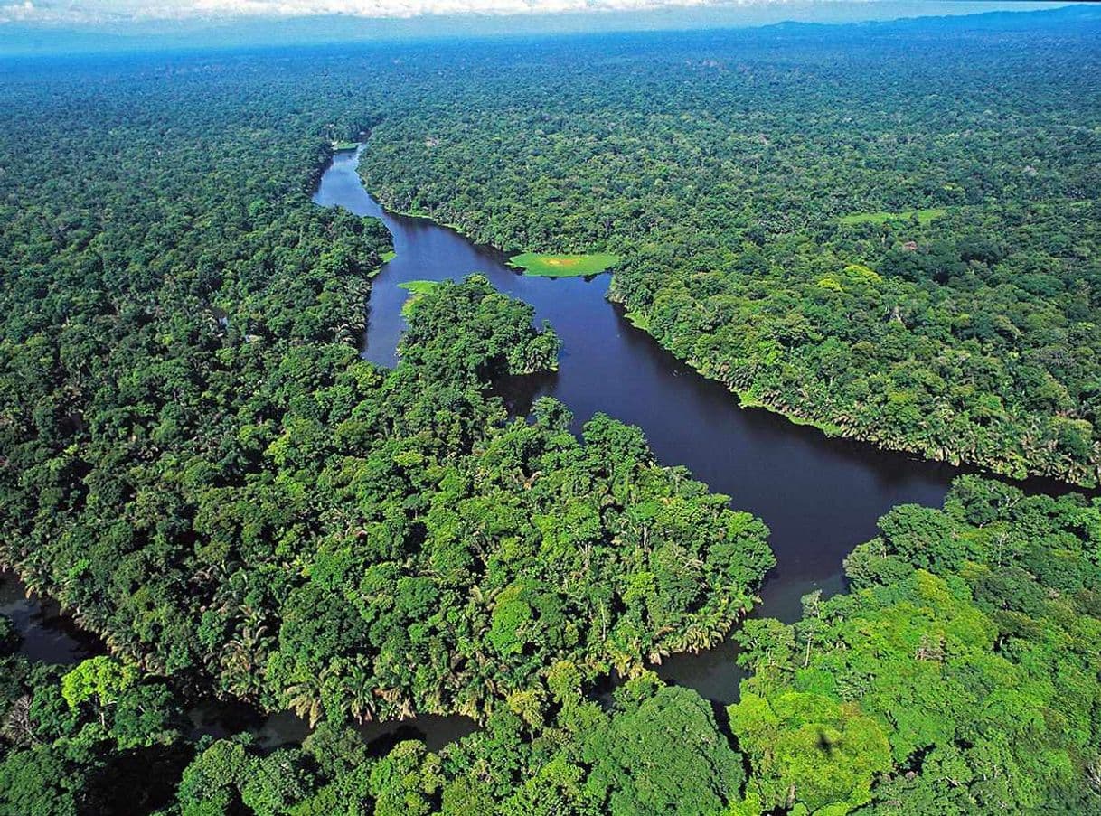 Place Tortuguero National Park