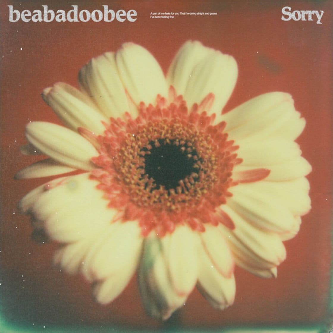 Music Sorry - Alternate Edit