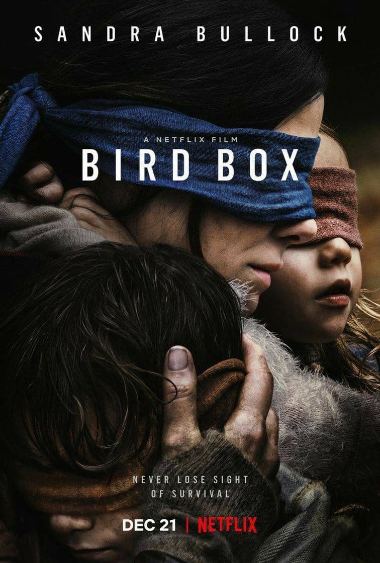 Fashion Bird box