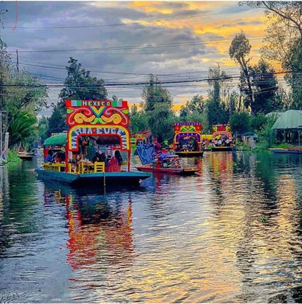 Place Xochimilco Tours Trajineras​​​​​​​