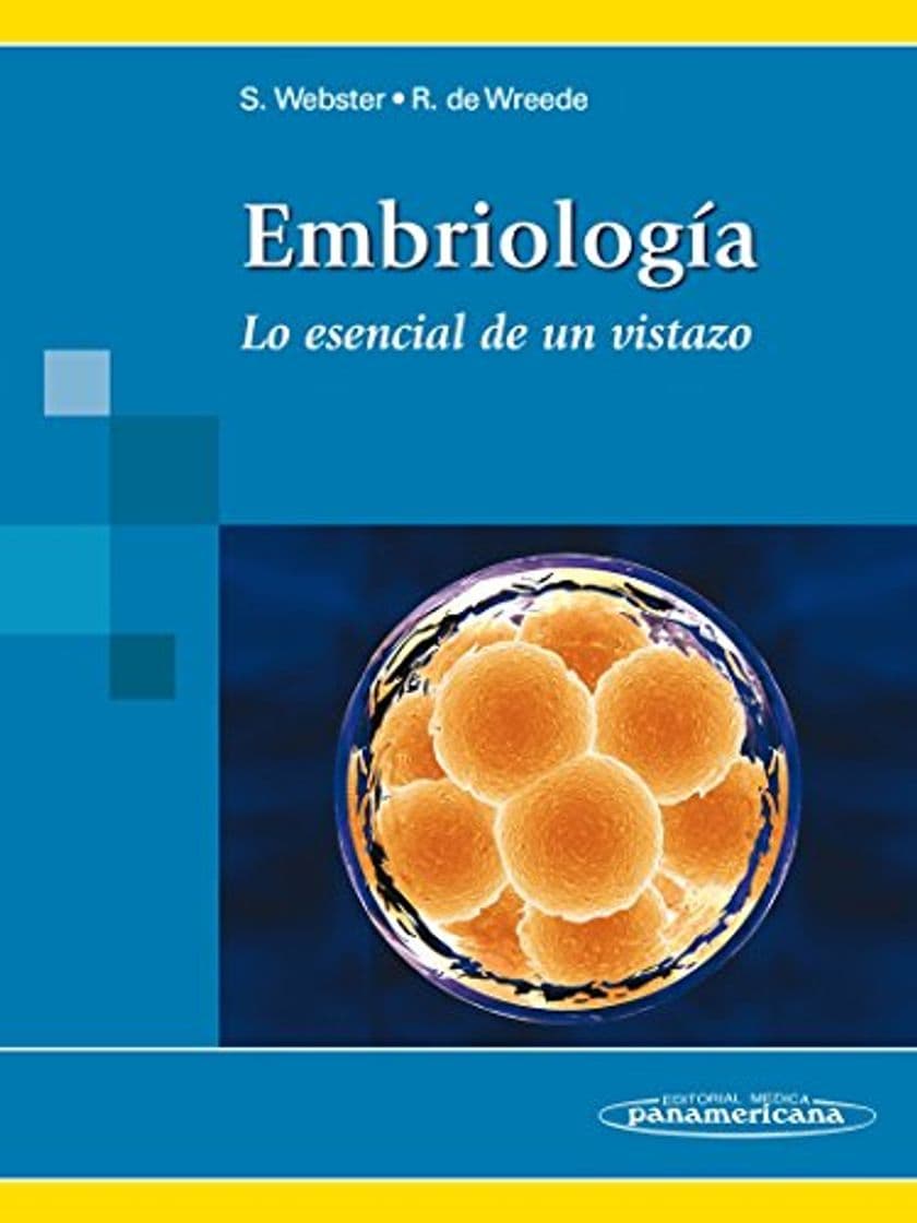 Libro WEBSTER:Embriologa: Lo esencial de un vistazo