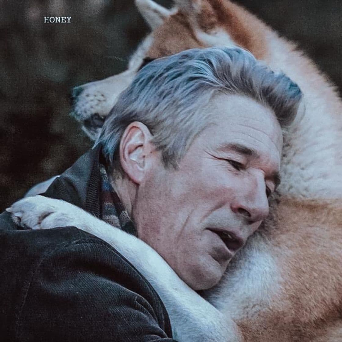 Movie Hachi: A Dog's Tale