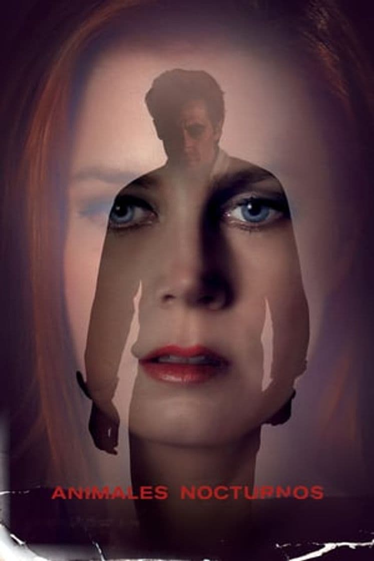 Película Nocturnal Animals