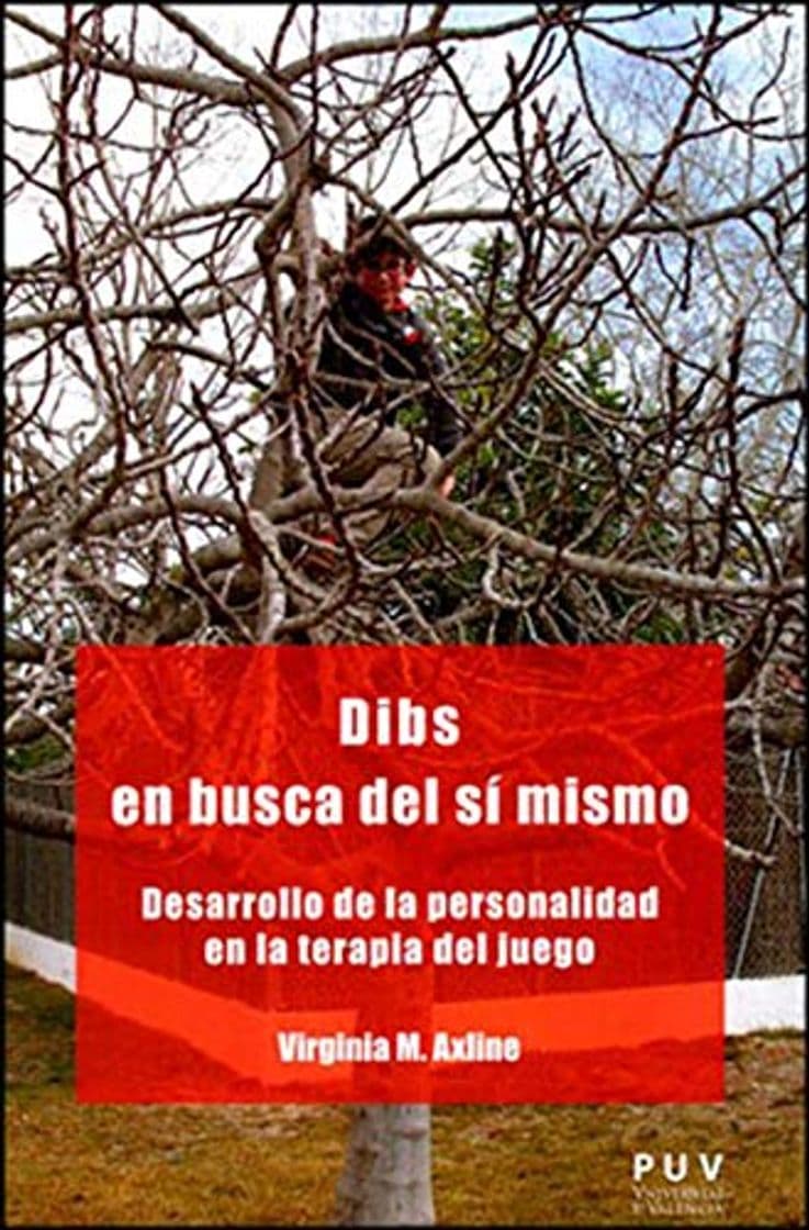 Libro Dibs en busca del sí mismo: Desarrollo de la personalidad en la terapia del juego