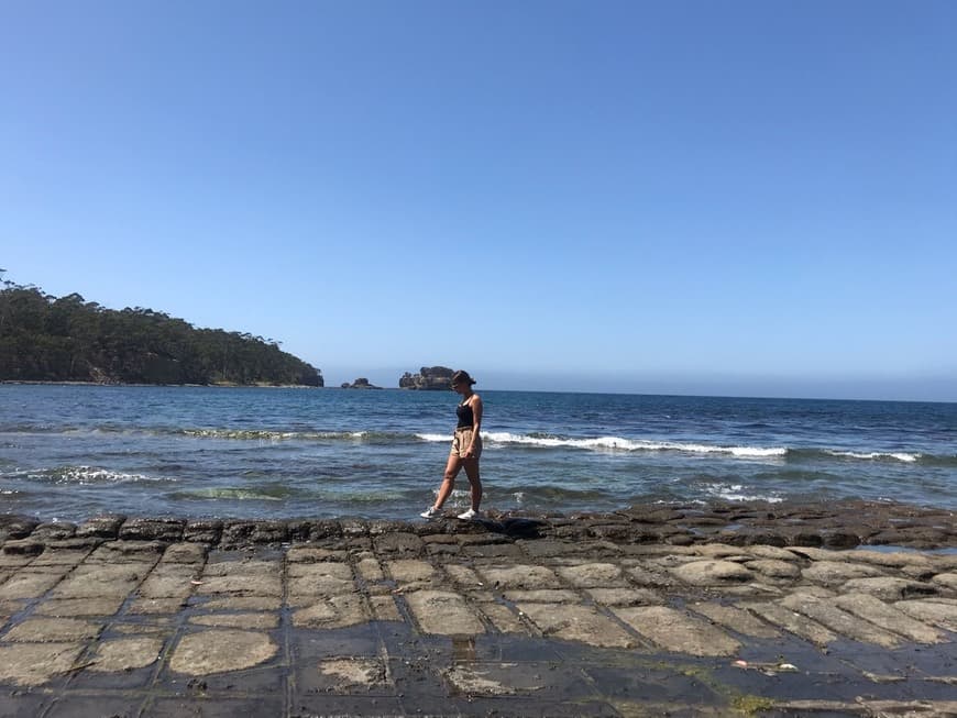 Lugar Tessellated Pavement