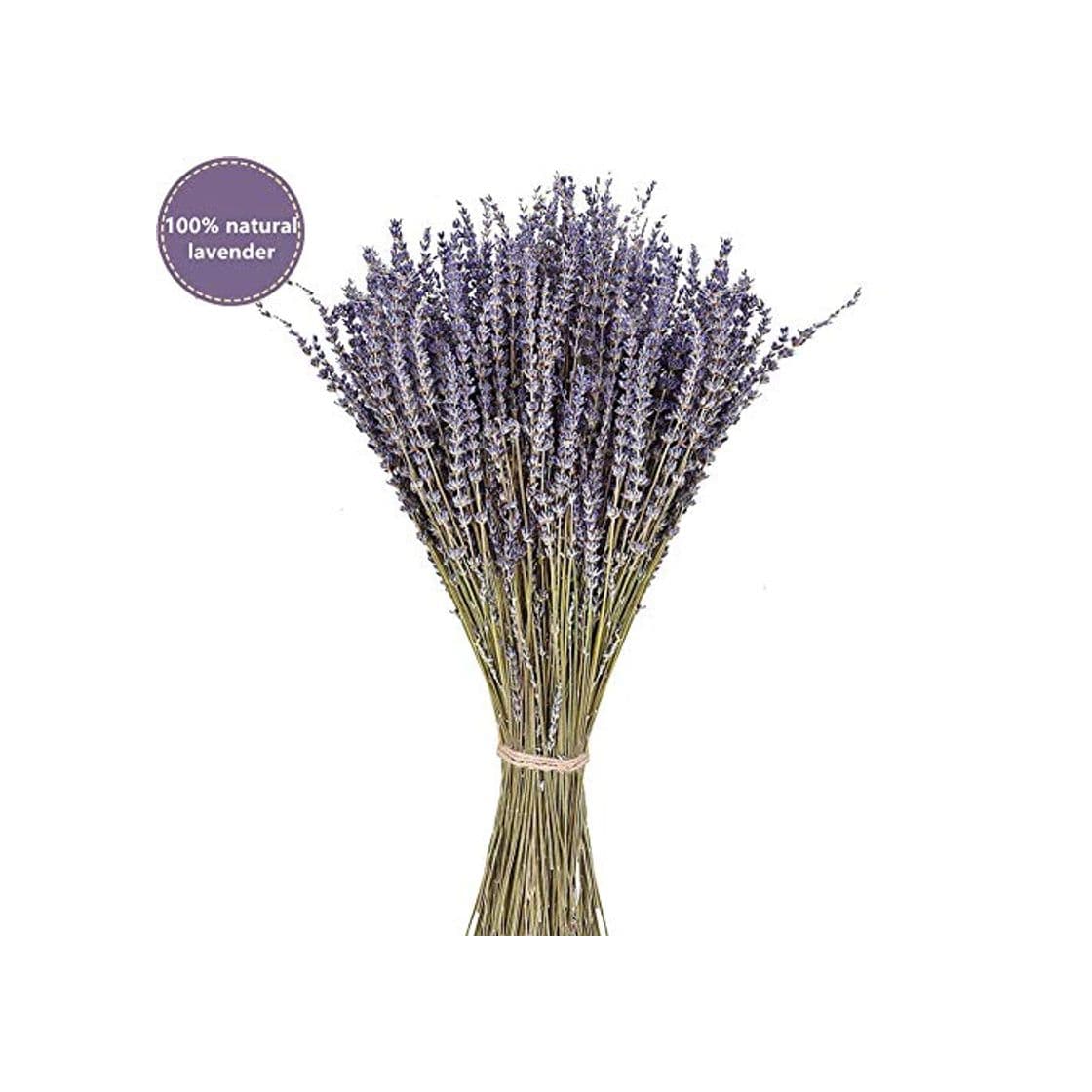 Producto PTVwire Ramos de Lavanda secas 100% Natural para decoración del hogar