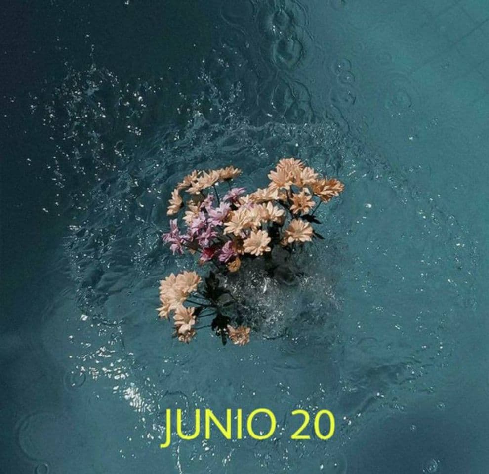 Moda JUNIO 20