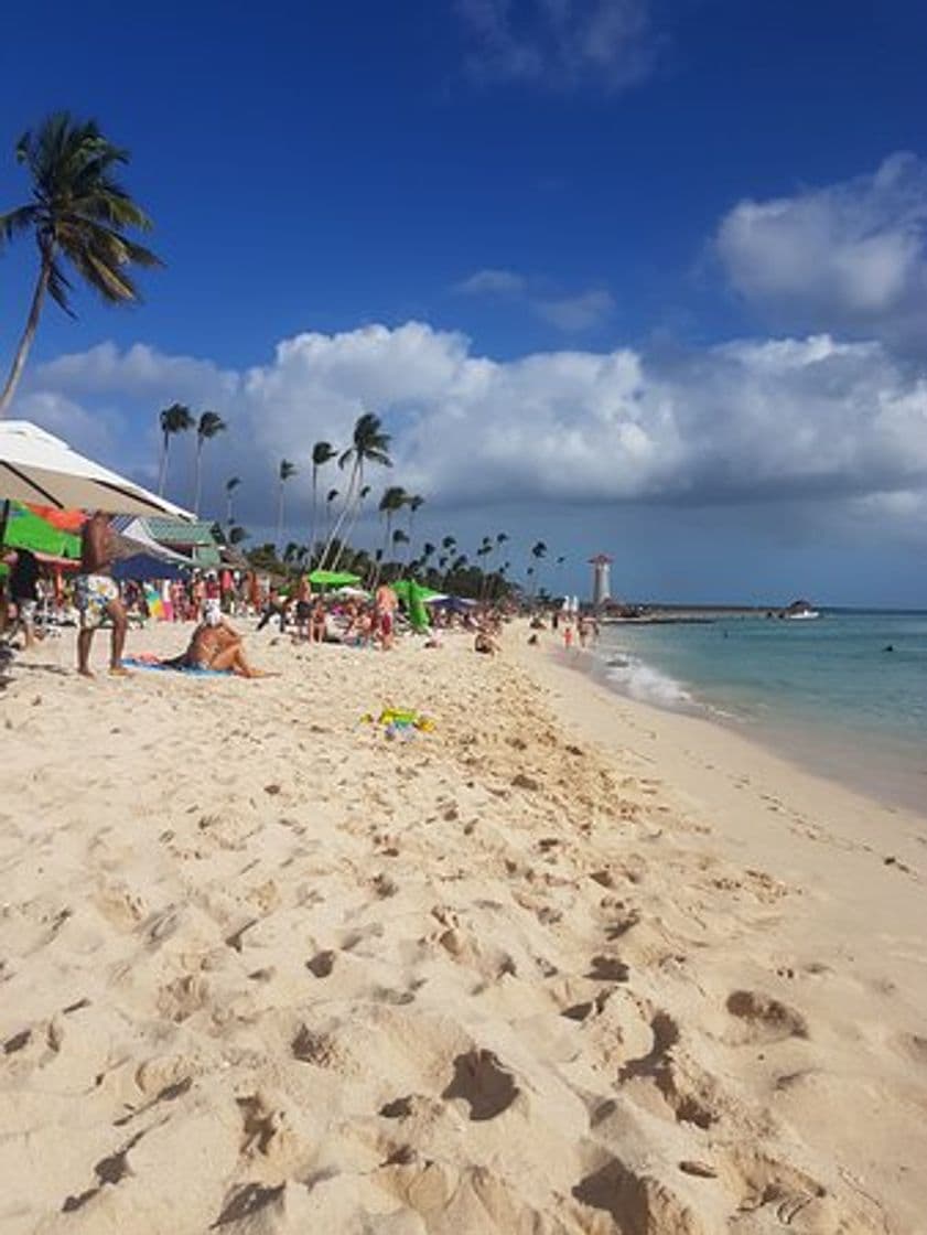 Lugar Playa Publica Bayahibe