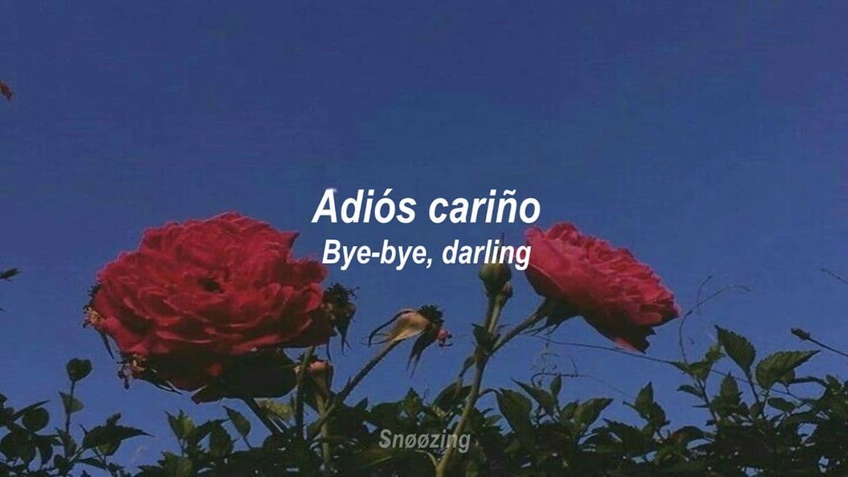 Canción Bye-Bye Darling de BØRNS 