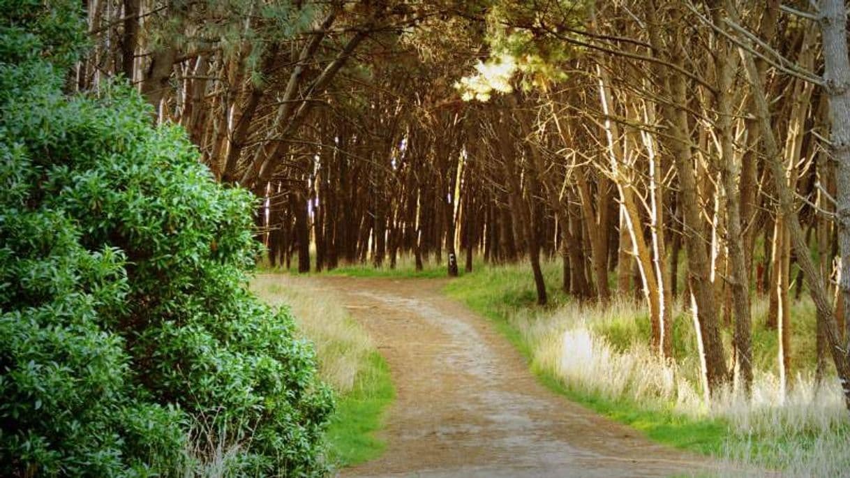 Lugar Parque Miguel Lillo