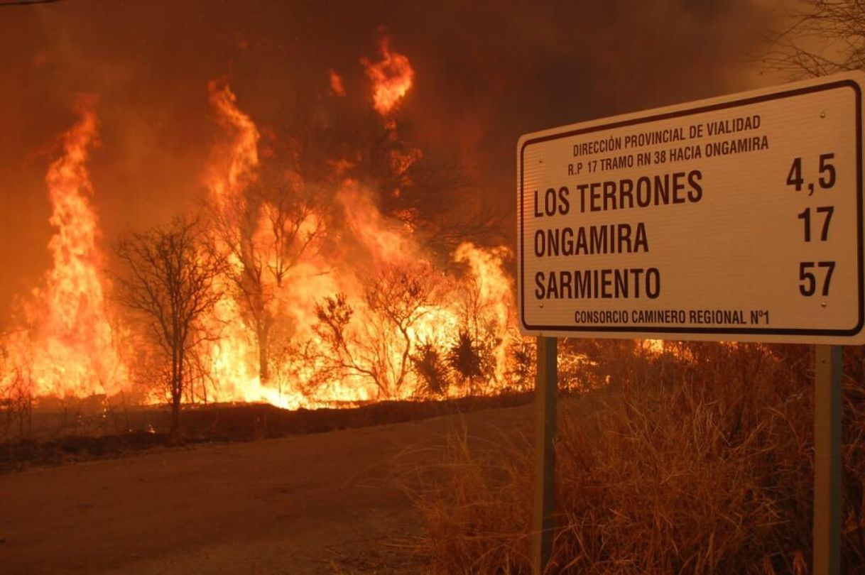 Fashion ARGENTINA ESTA EN LLAMAS Y NADIE ESTA HABLANDO DE ESTO