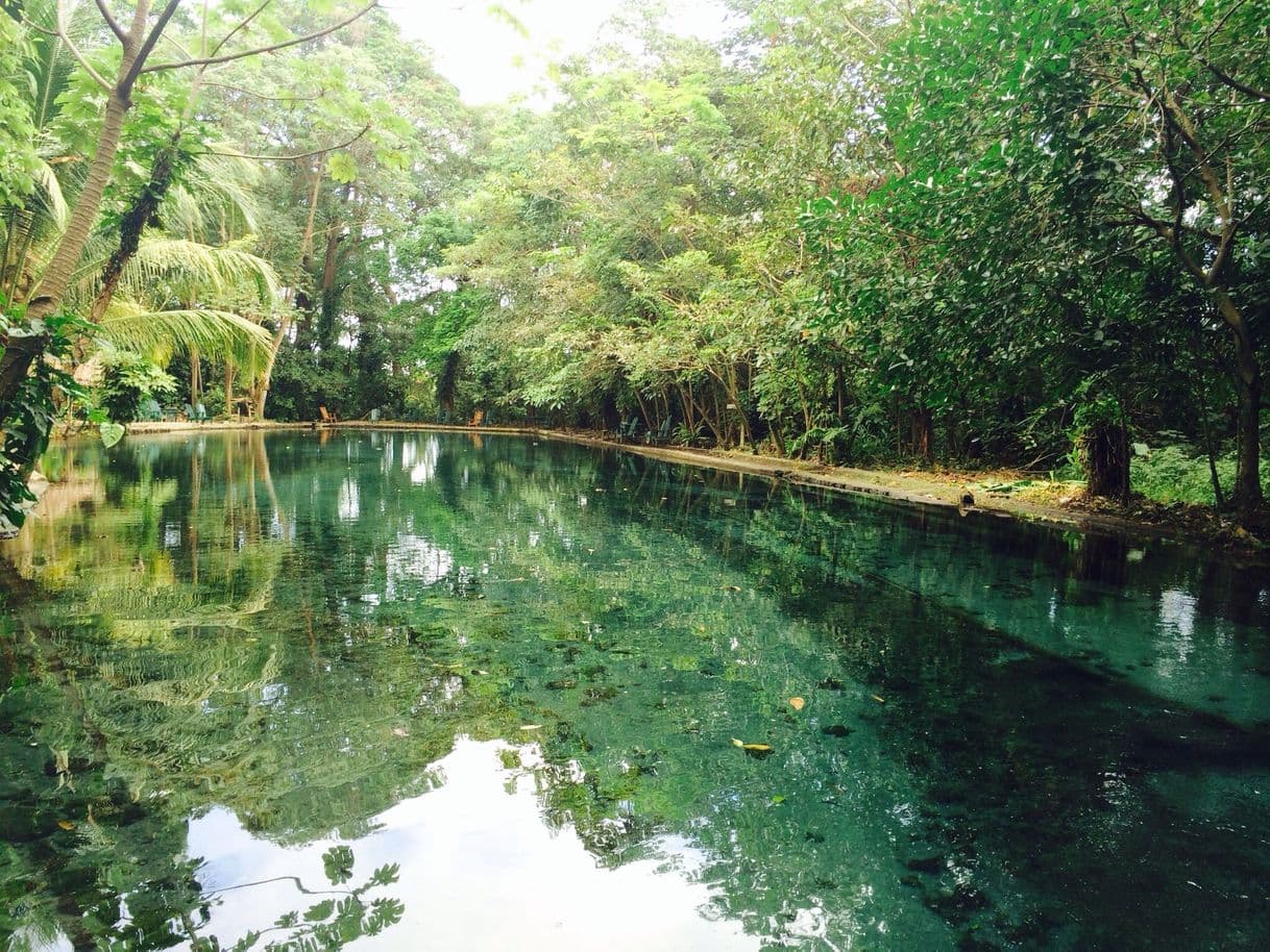 Restaurantes Ojo de Agua