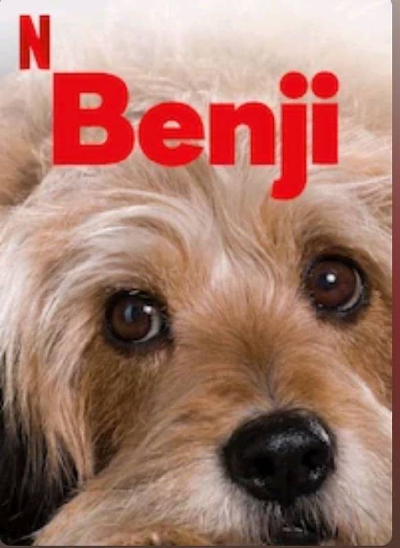 Movie Benji | Netflix Official Site