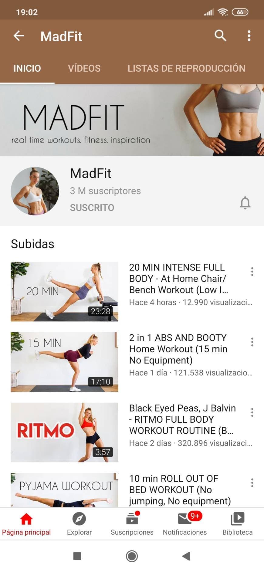 Moda MadFit