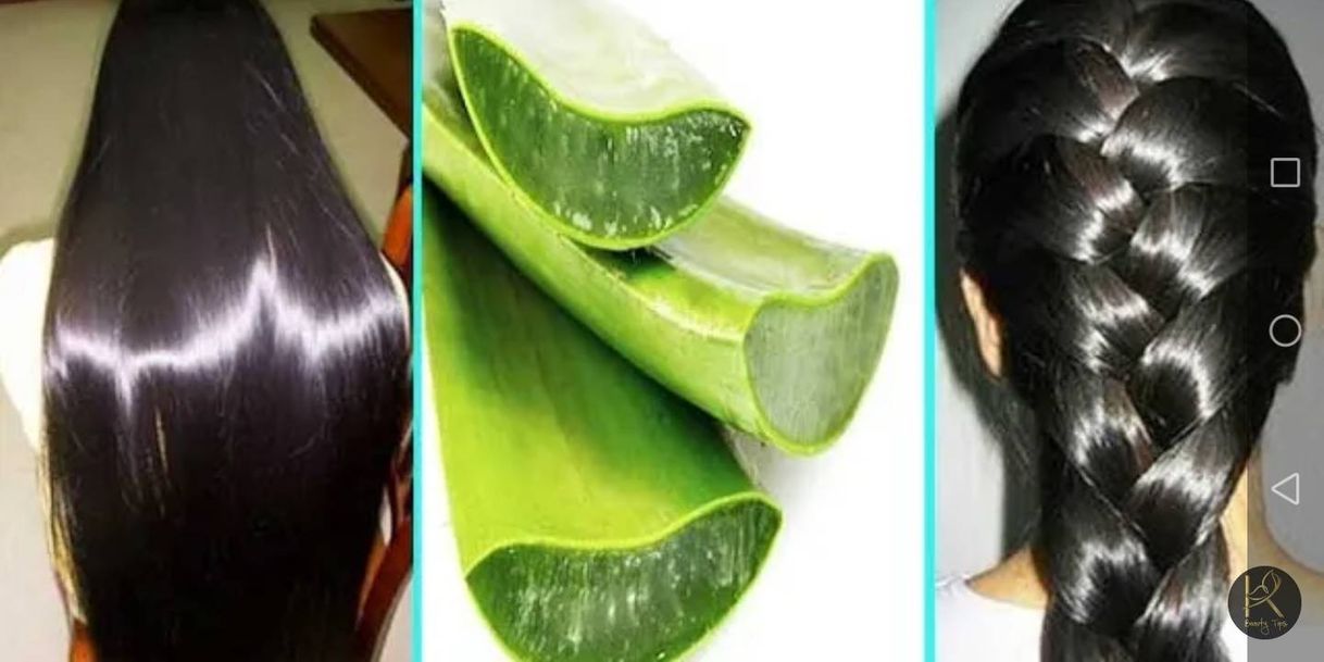 Fashion SABILA / ALOE VERA y AZUCAR para tener un CABELLO / PELO ...