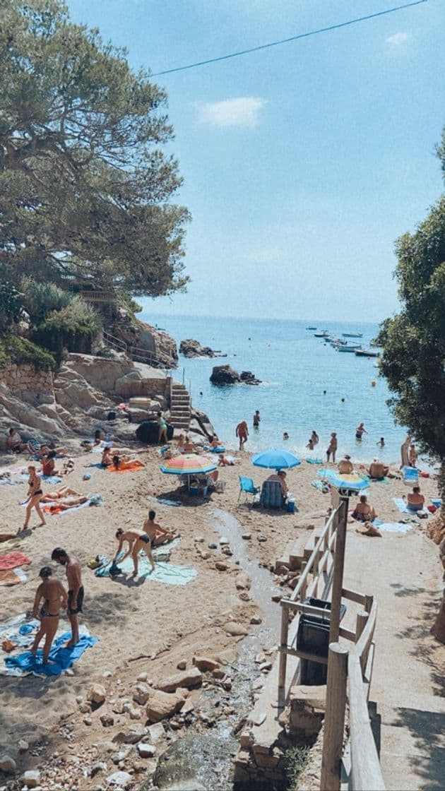 Lugar Platja d'En Malaret / Cala de Fornells