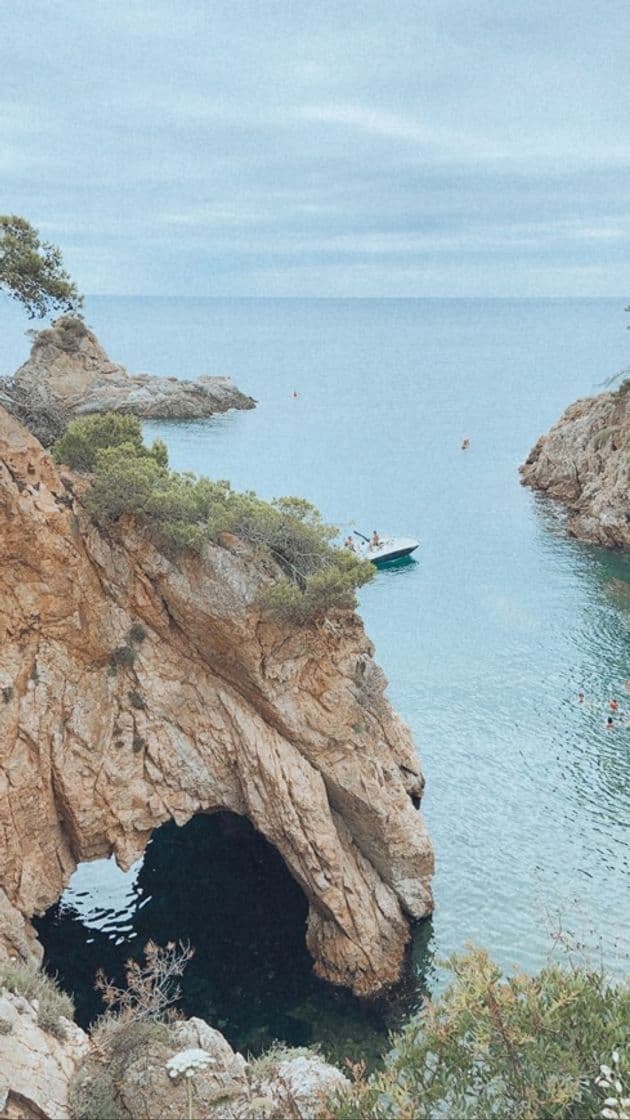 Lugar Cami De Ronda Palamos- Calella De Palafrugell