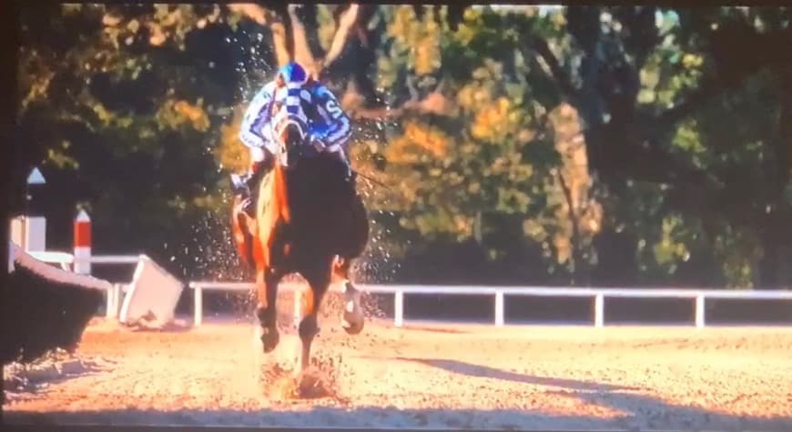 Movie Secretariat