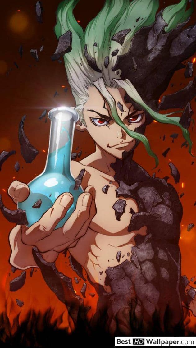 Serie Dr. STONE