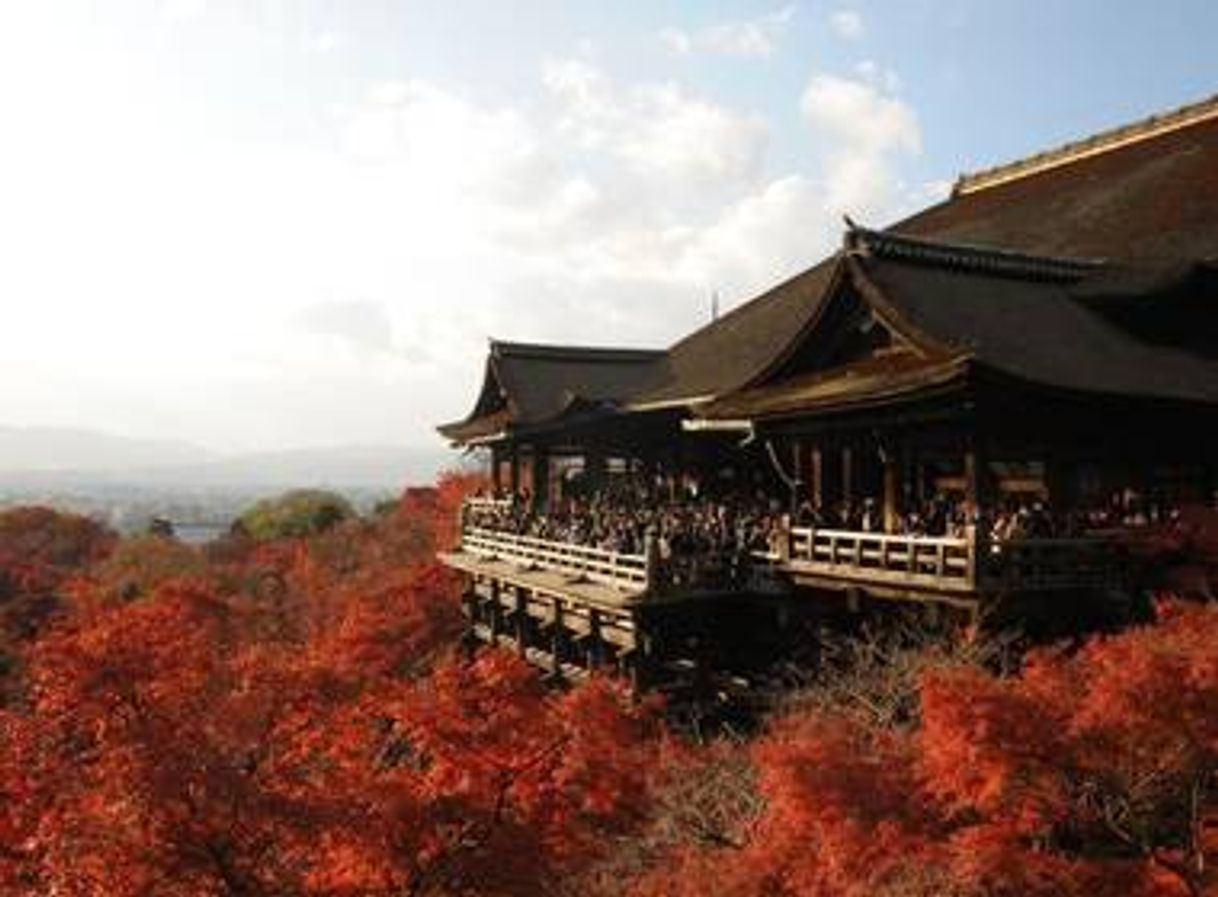 Place Kiyomizu-dera