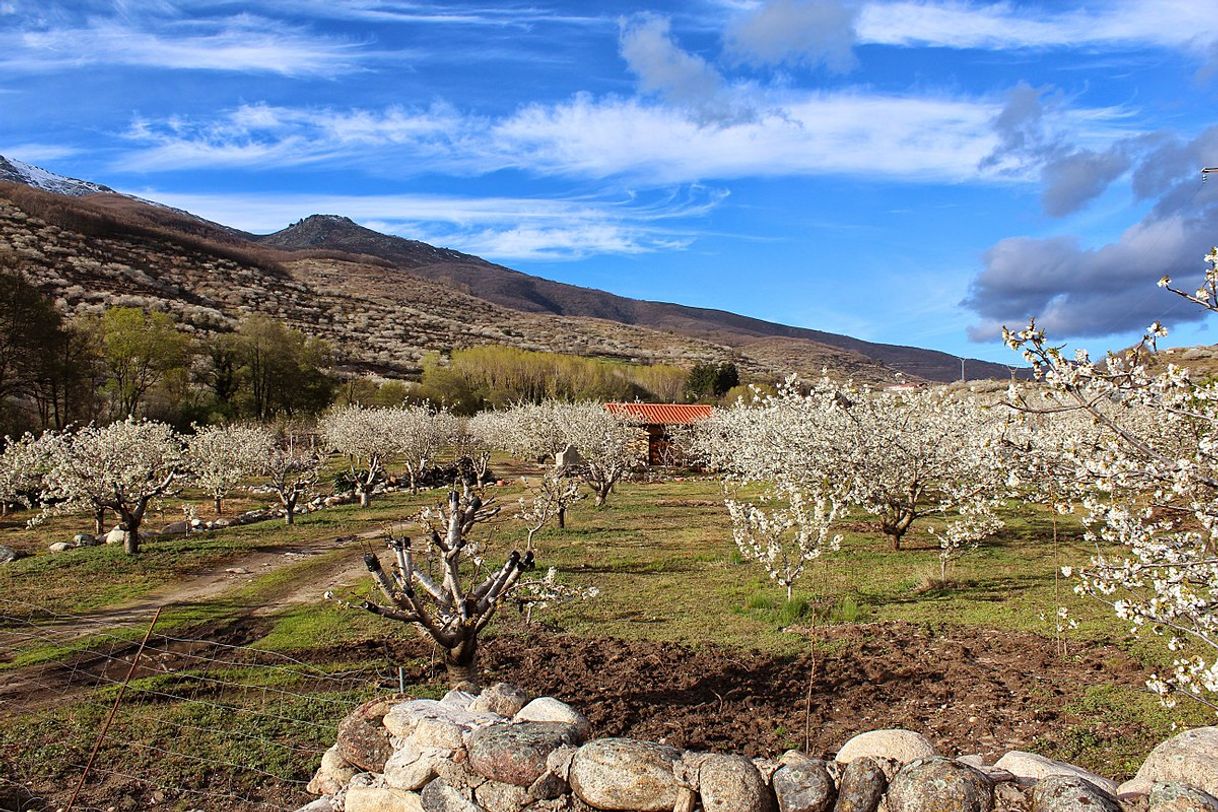 Lugar Valle del Jerte