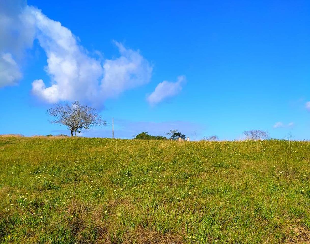 Lugar Iguaba Grande