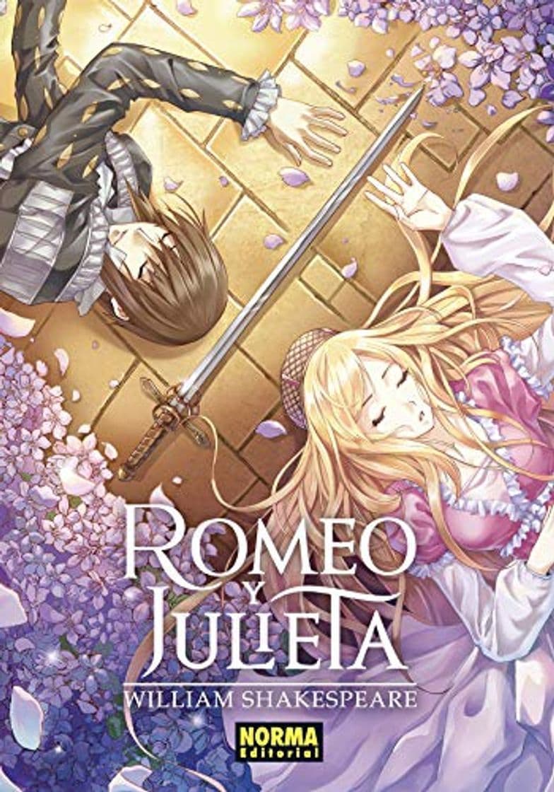 Libro Romeo y Julieta