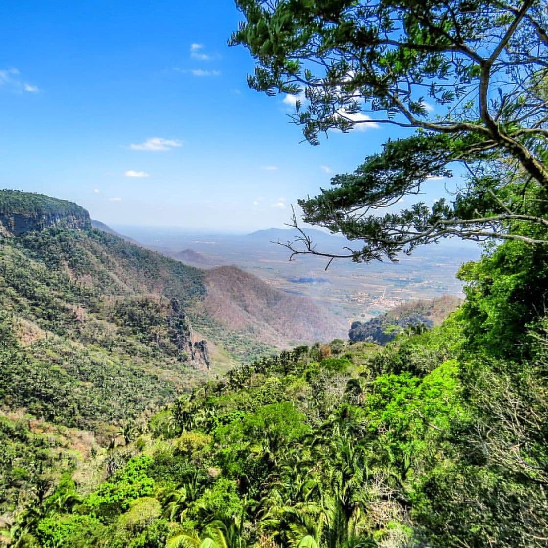 Place Ubajara National Park