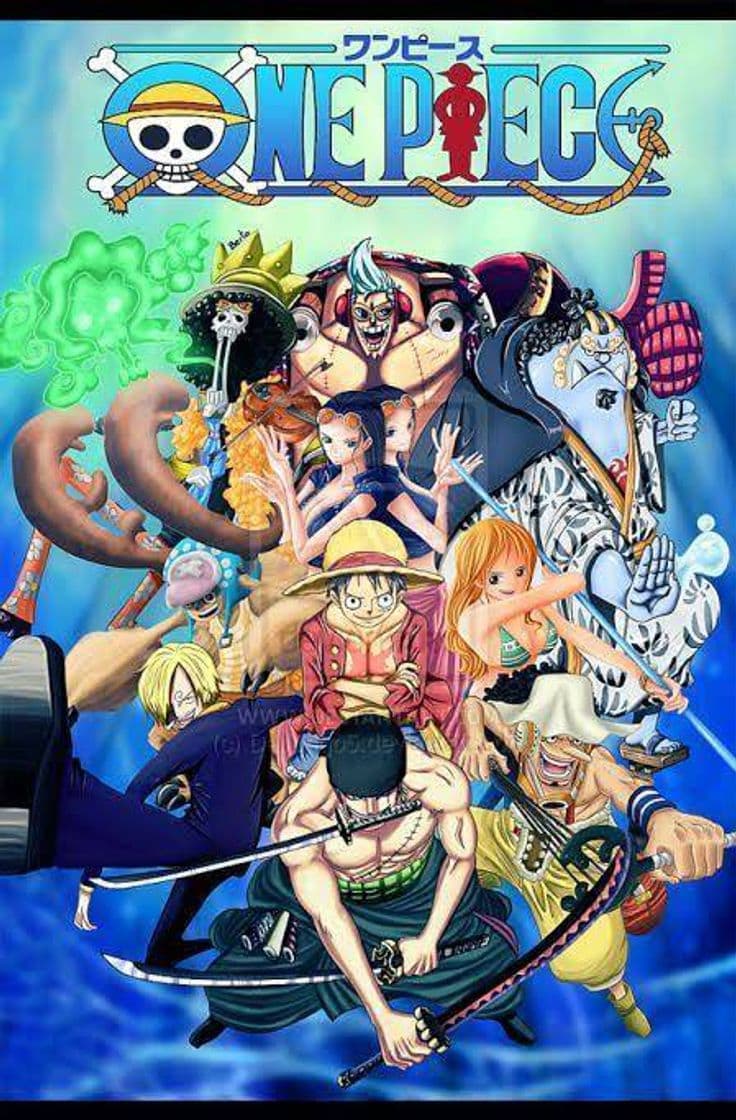 Serie Leia One Piece