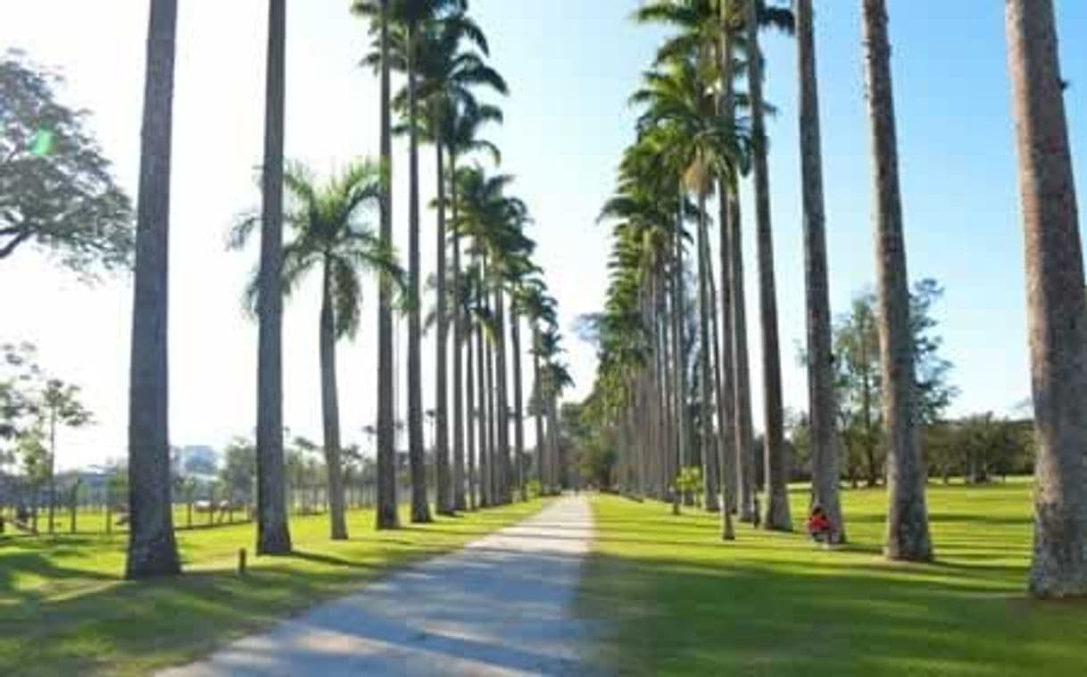 Lugar Parque Da Cidade - São José Dos Campos