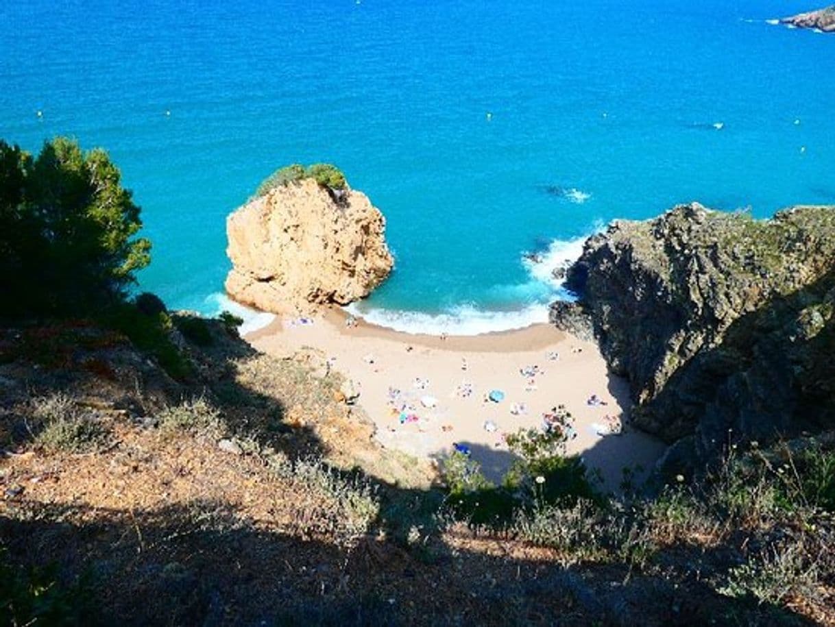 Lugar Playa Illa Roja