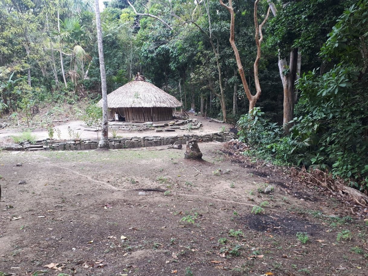 Lugar Parque Tayrona