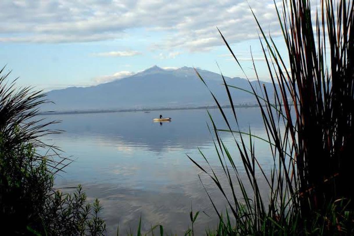 Place Laguna De Zapotlan