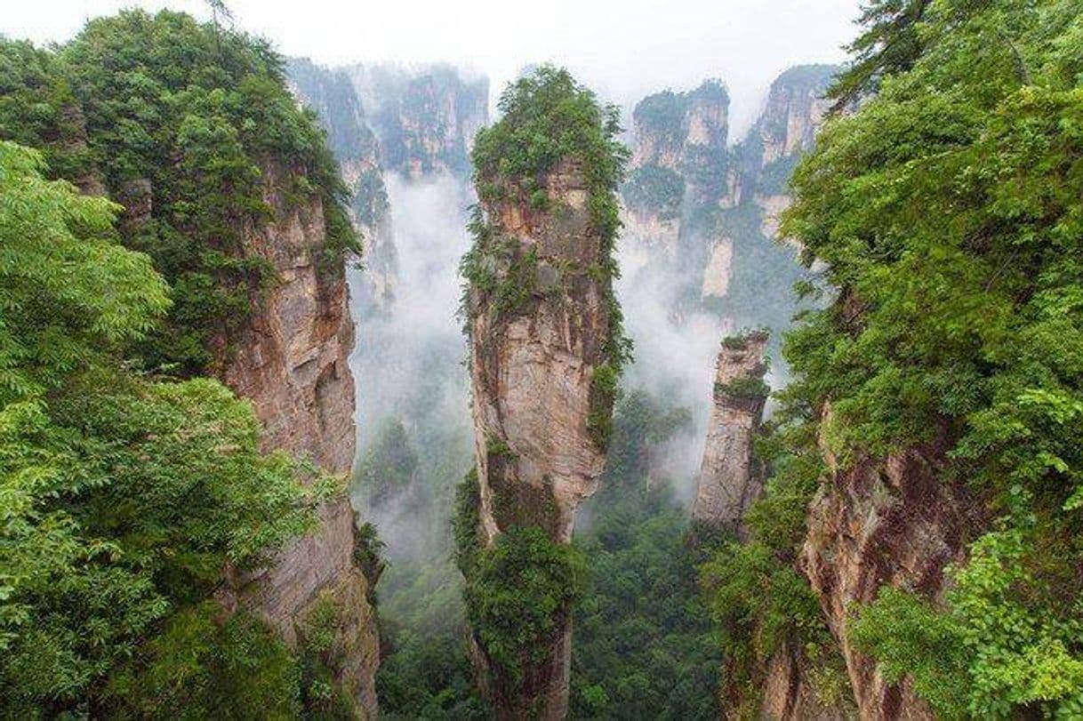 Place Zhangjiajie National Forest Park