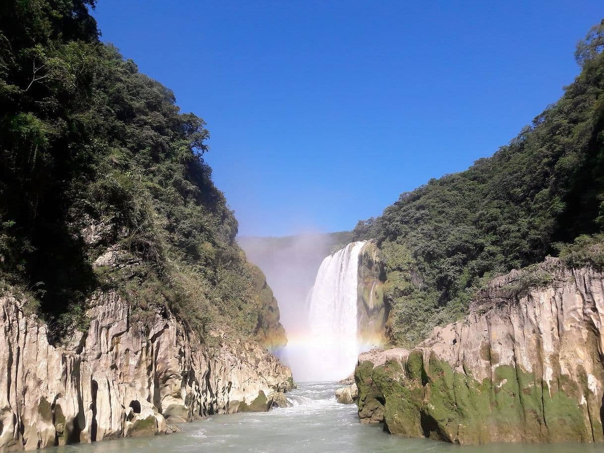 Lugar CASCADA DE TAMUL OFICIAL ✅