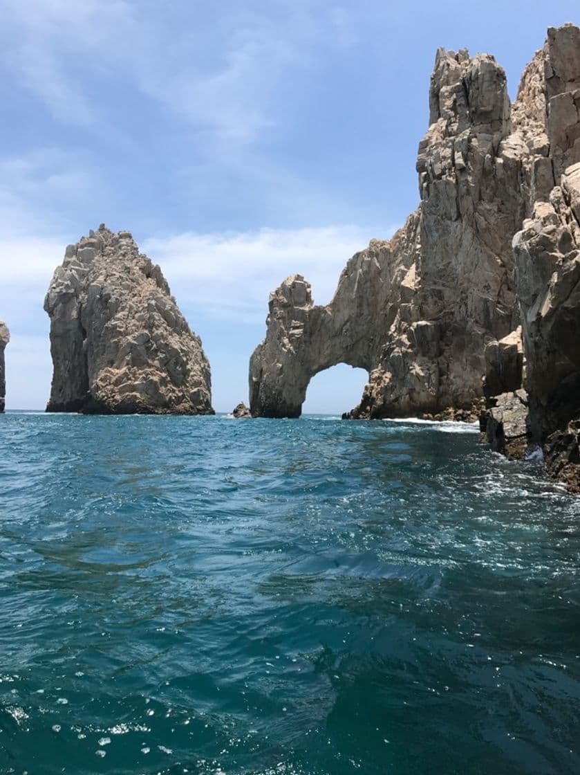 Place Los Cabos