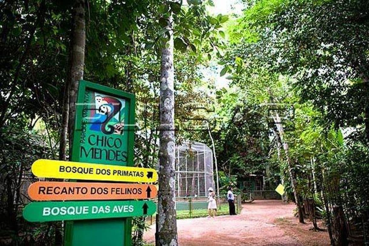 Place Parque Ambiental Chico Mendes