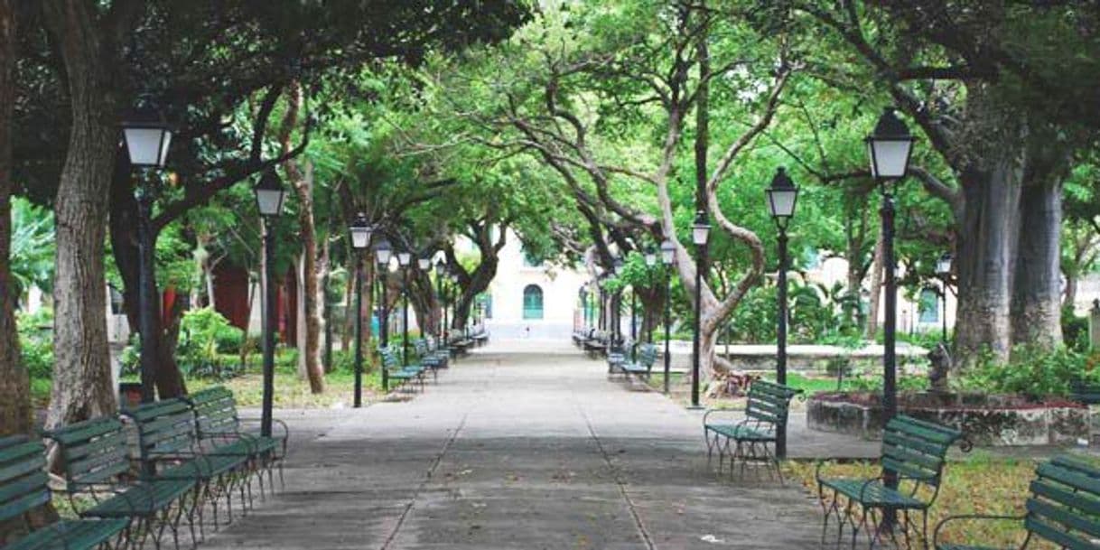 Place Praça dos Mártires