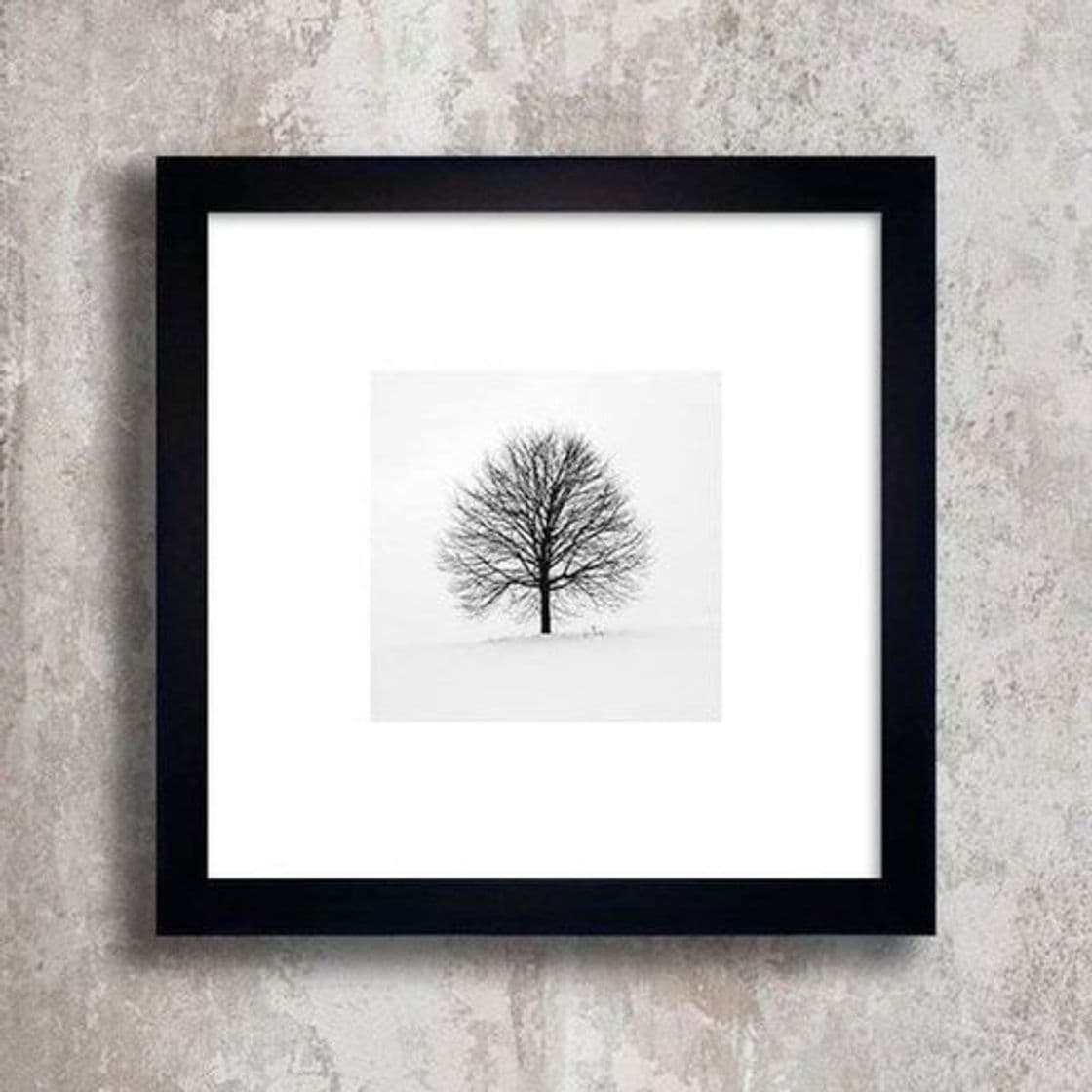 Producto Quadro Solitary Tree