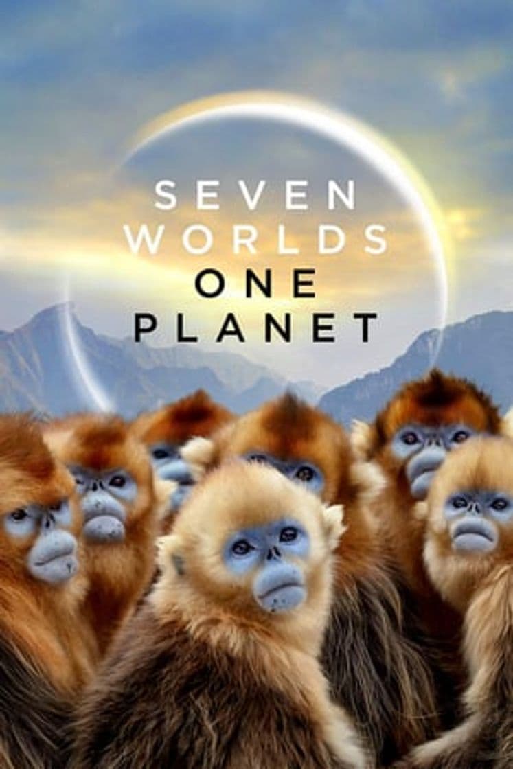 Serie Seven Worlds, One Planet