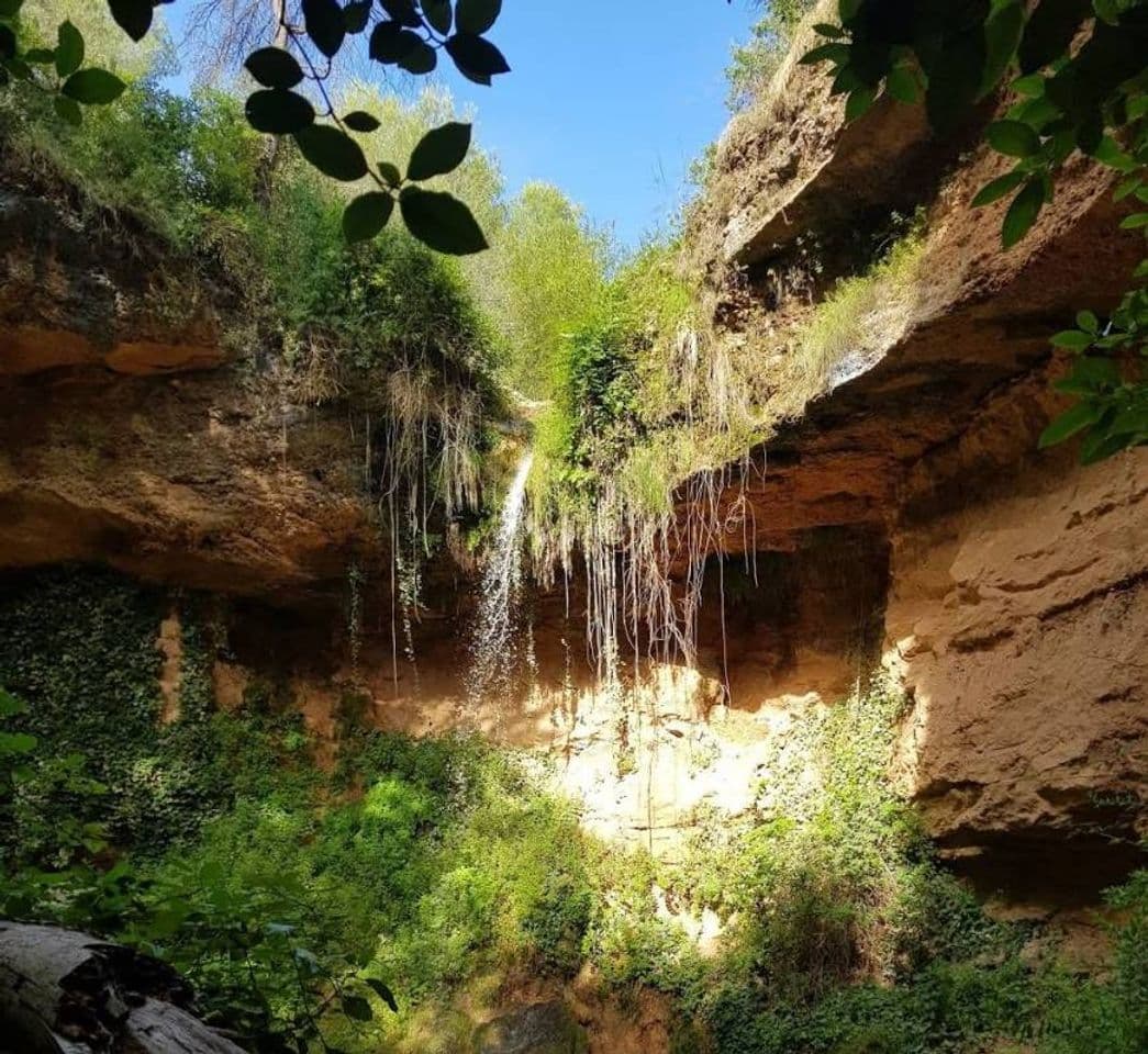 Moda Valls de l'Anoia