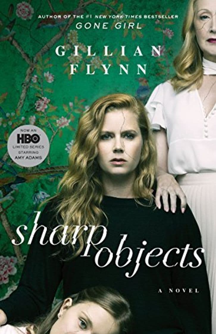 Libro Sharp Objects: A Novel