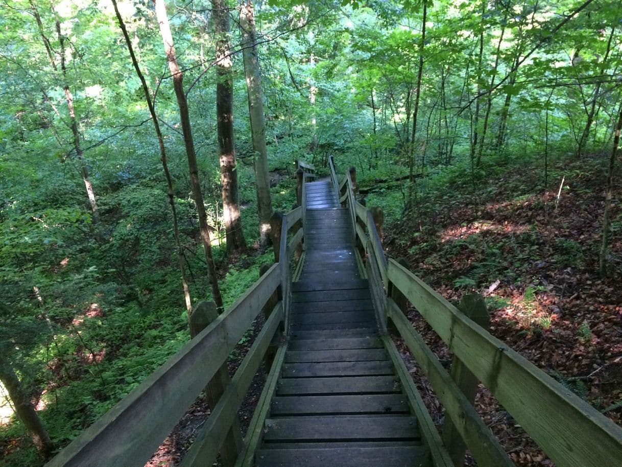 Lugar Shades State Park