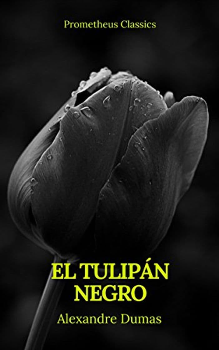 Libro El tulipán negro