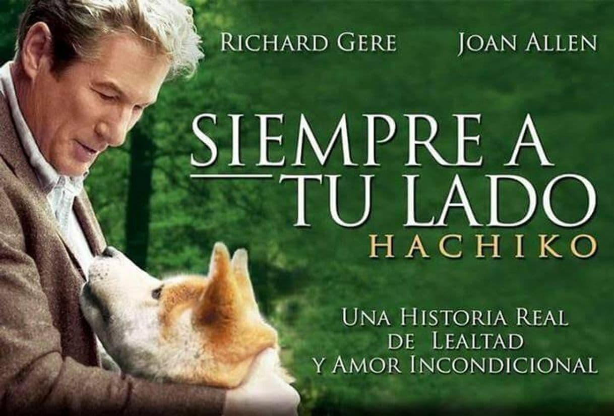 Fashion Hachiko - Siempre A Tu Lado (Trailer En Español) - YouTube