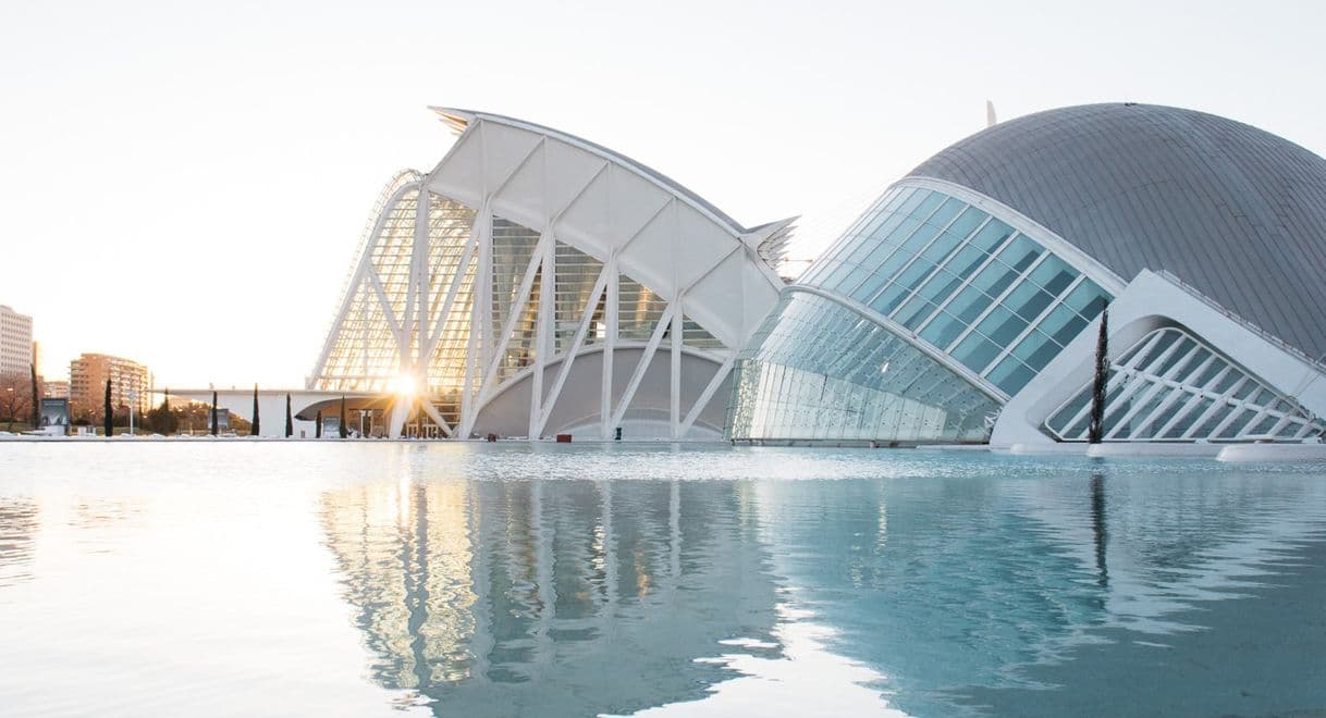 Place Ciudad de las Artes y las Ciencias