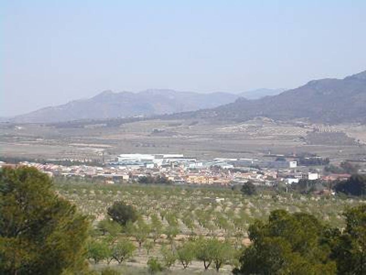 Lugar Salinas, Alicante