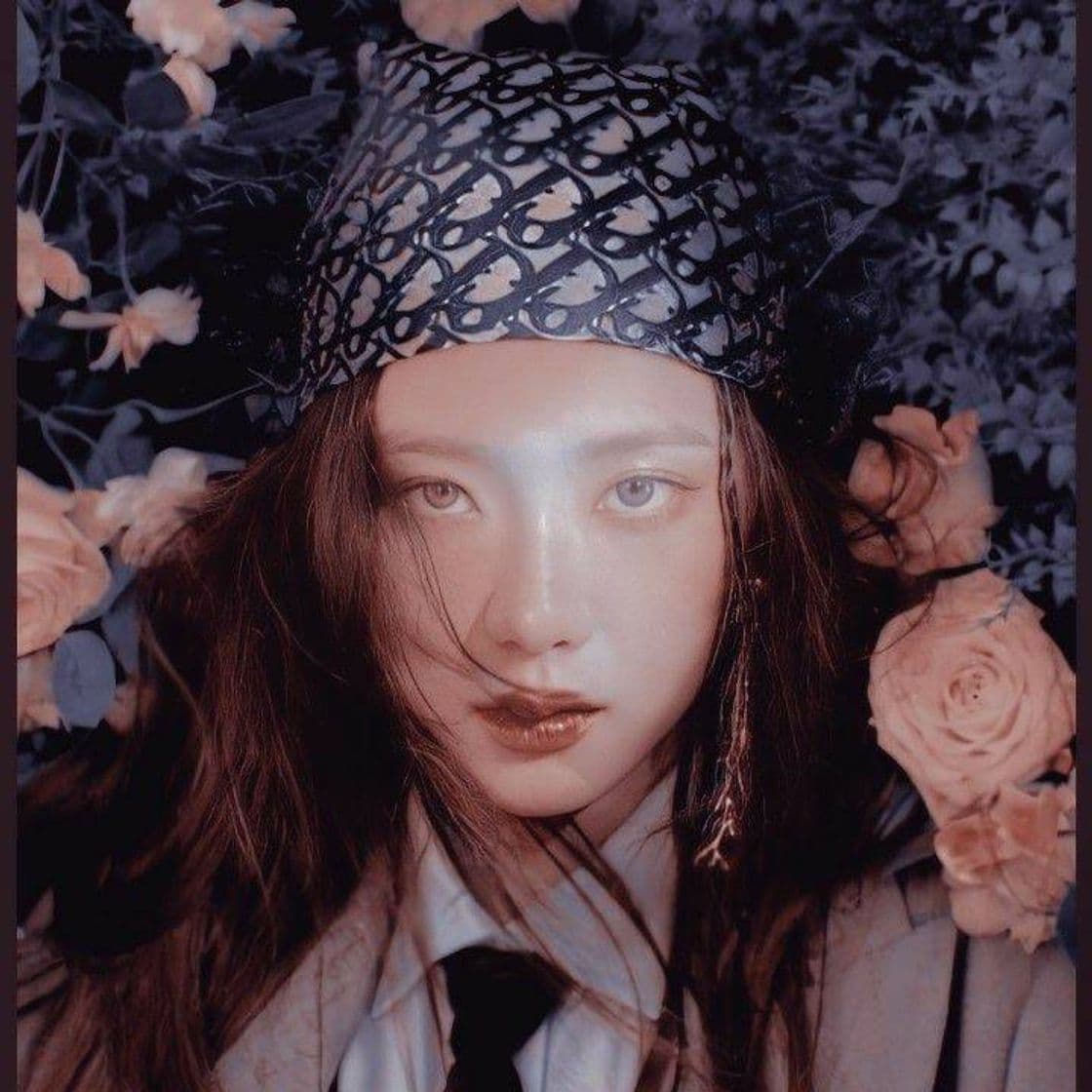 Fashion jisoo icon