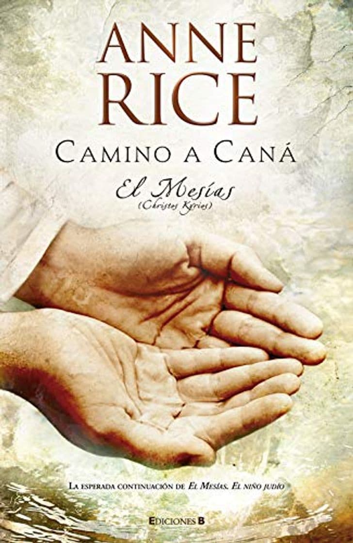 Libro Camino a Caná