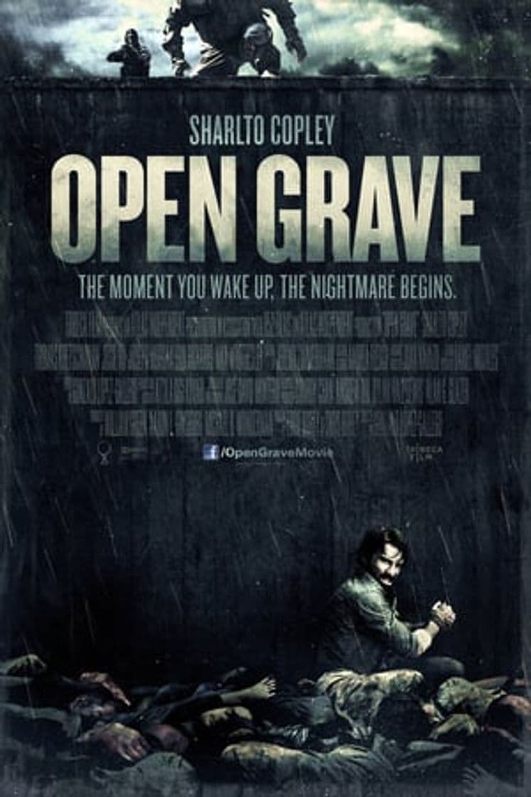 Película Open Grave